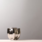 Silver / small