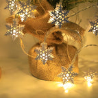 Snowflake / Battery 1.5M